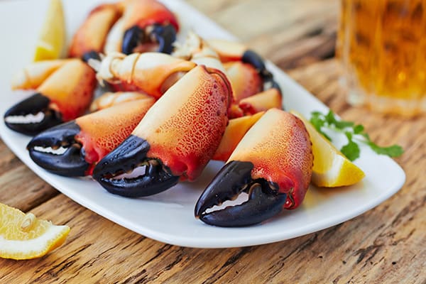 florida stone crab claws